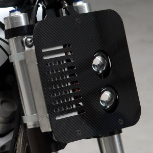 Front panel assembly, mounted on the bike